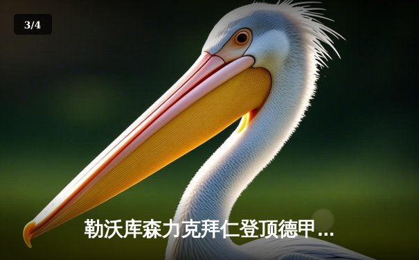 勒沃库森力克拜仁登顶德甲，阿隆索战术完胜图赫尔 - 3